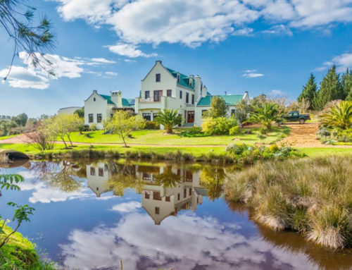 The Peace Valley Guesthouse in Napier