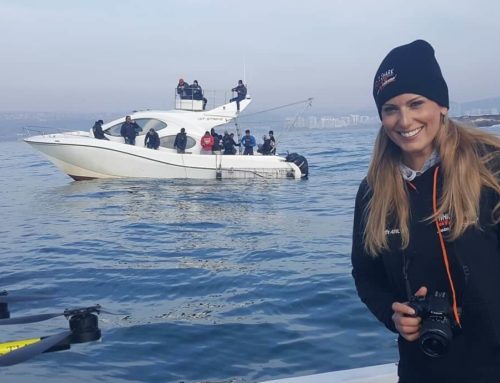 Why you should go shark diving in Mossel Bay